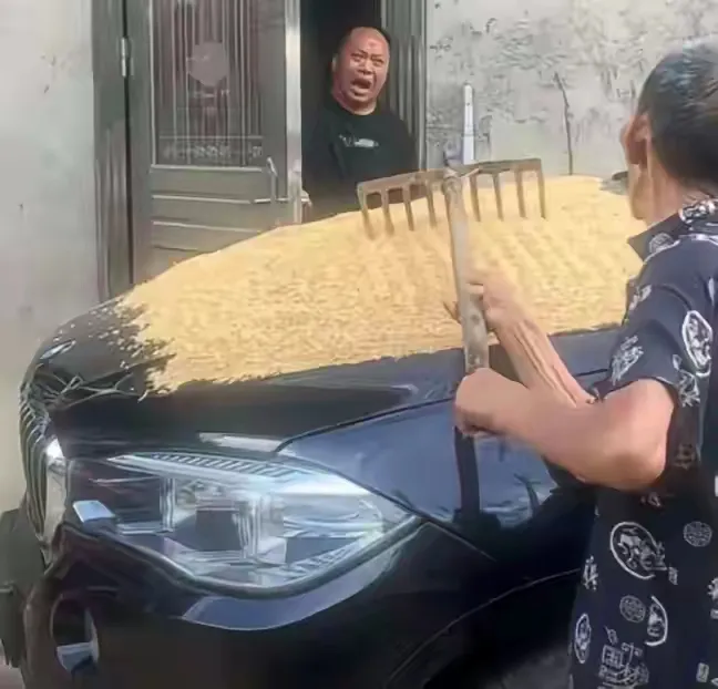 这大男人…哭了…急哭了！！！你还别说，这是绝佳的晒谷位置