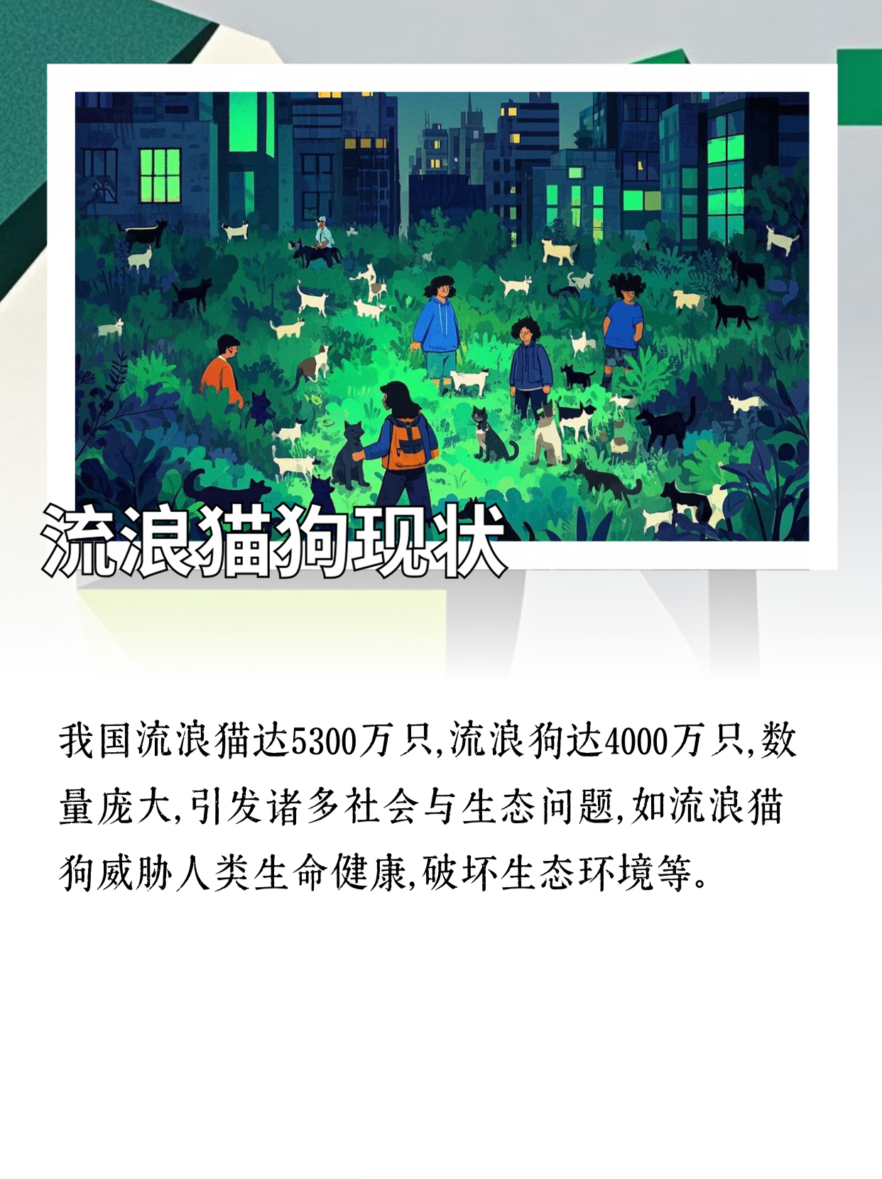 流浪猫狗数量庞大威胁人类与生态，该如何应对？