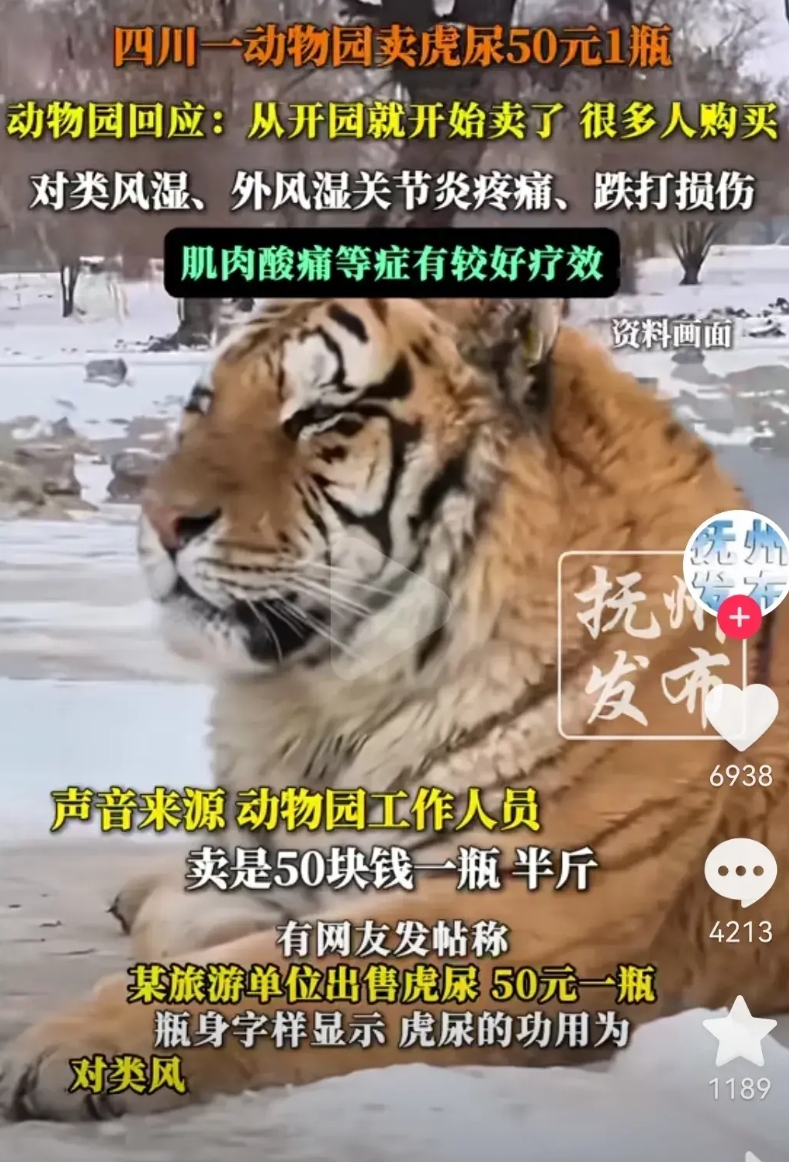 太惊讶了，四川一动物园卖虎尿，每瓶50元。动物园回应：从开园就开始卖，很多人购买