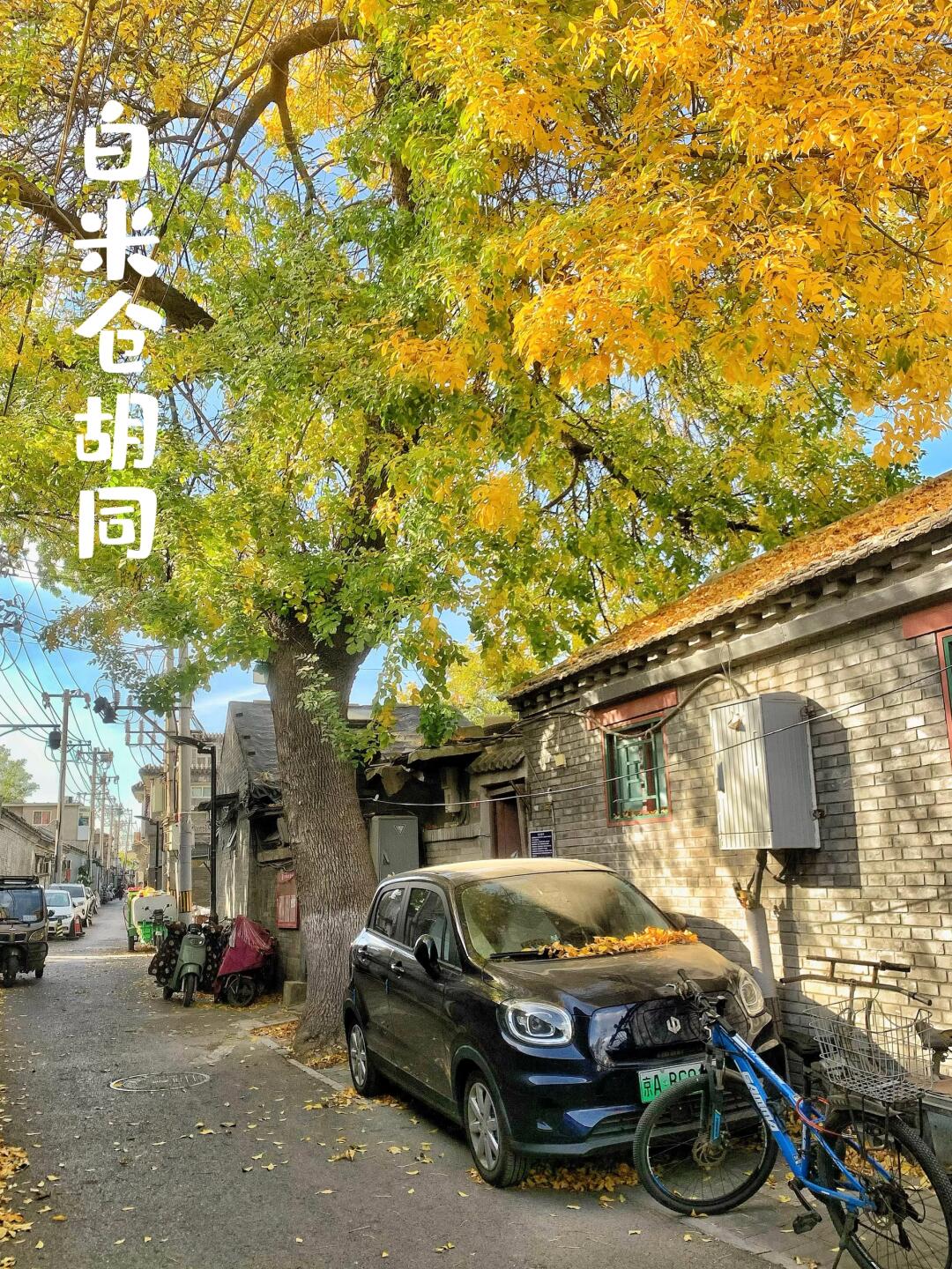 明代粮仓-白米仓胡同，赶紧冲