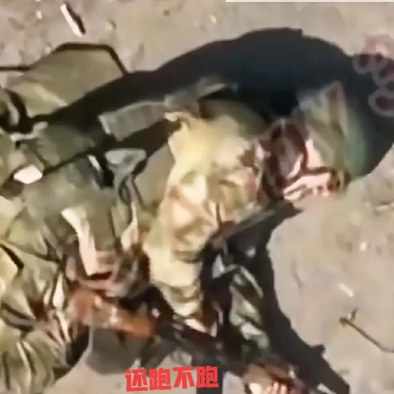 一名俄军士兵被乌军俘虏了，这个士兵心里想着能不能跑掉，不远处正好有一片树林，他一