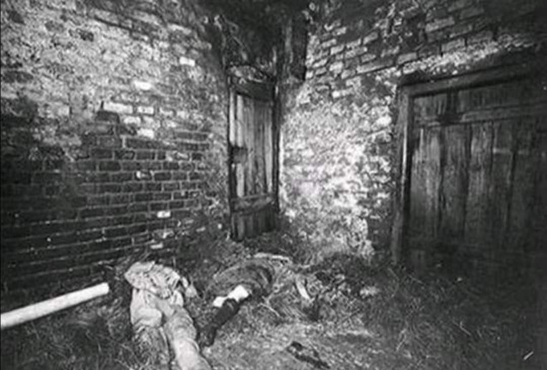 尘封半世纪的血案：1971年江南村庄的恐怖一夜