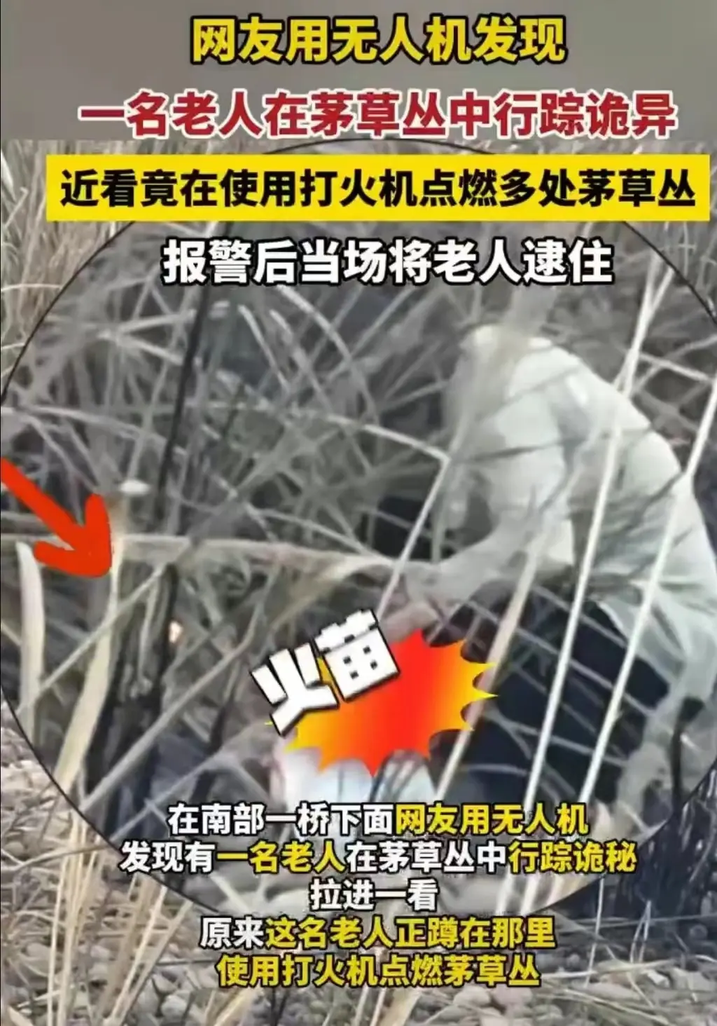 四川，发生了一件不可置信的事。一位网友在用无人机记录片子的时候，突然在草丛中发现