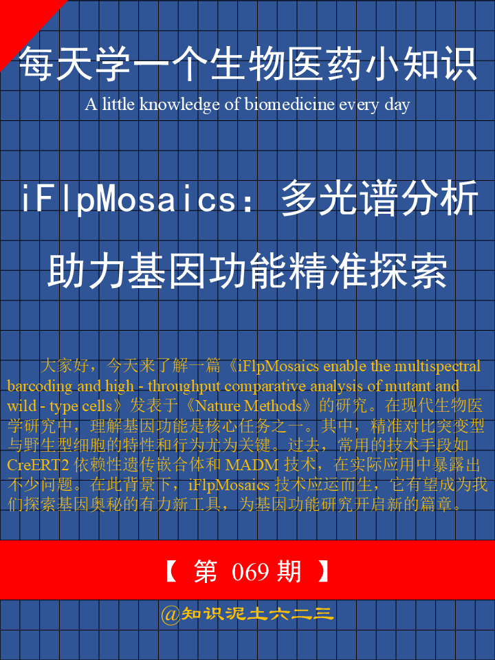 	大家好，今天来了解一篇《iFlpMosaics enable the mult