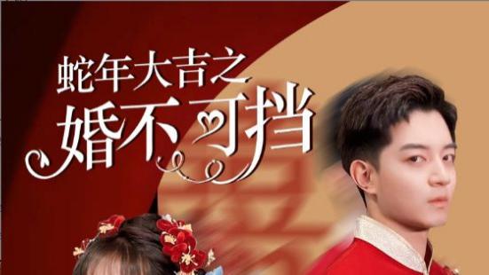 短剧在线观看《蛇年大吉之婚不可挡》完整版（全50集）