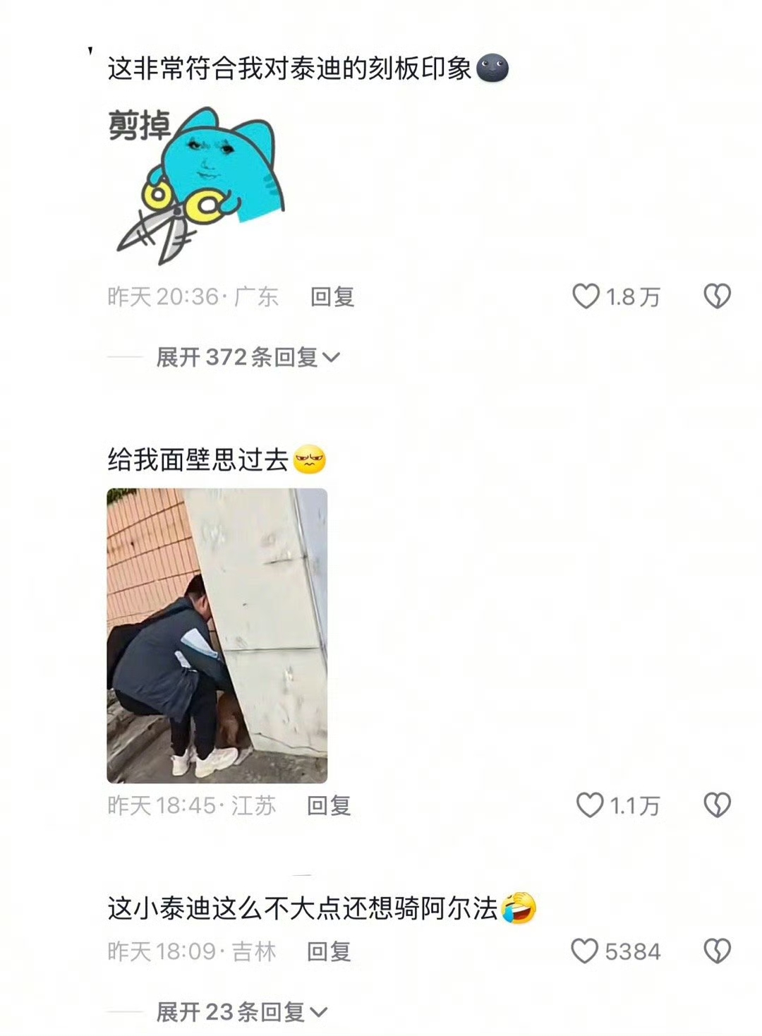泰迪这品种指定有点说法