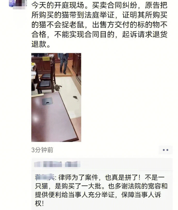 居然来真的