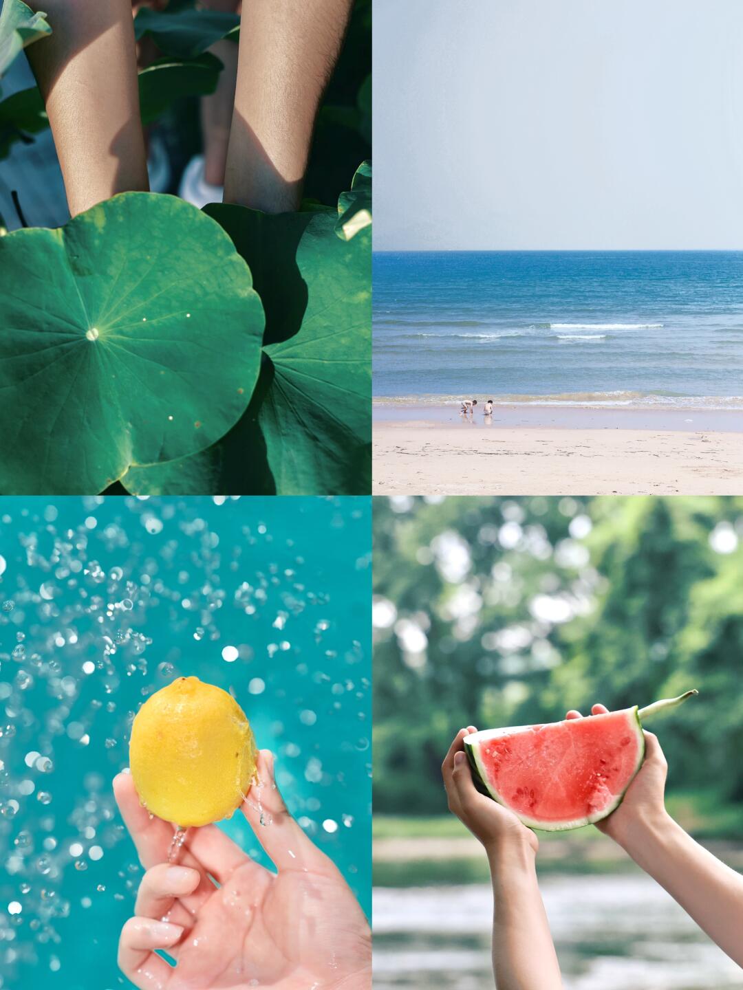 SUMMER｜夏天的味道就是🍉🍋🌊