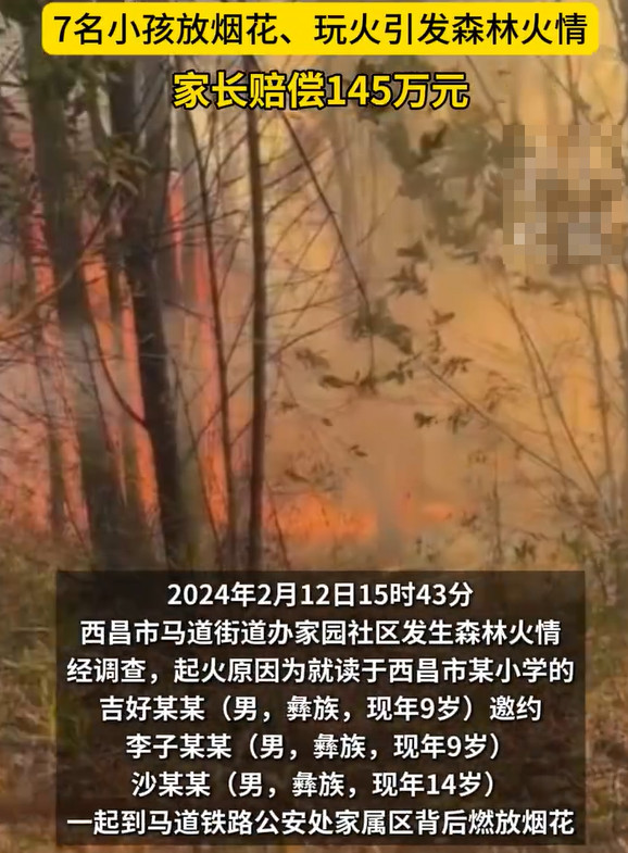 《西昌曾经两月连发森林火情，熊孩子玩火烧出百万赔偿》
