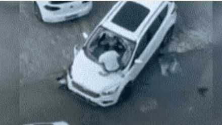 河北邯郸，一女子告诉男友，她要和闺蜜一起去国庆旅行，欣赏各地风景，结果男友感到不