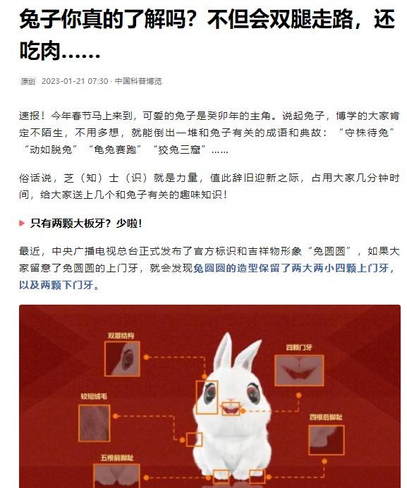 万万没想到，软萌小兔也能变身“生态杀手”！它们可不是吃素的！



你以为兔子只