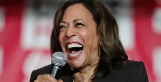 由于健康情况急剧恶化，拜登早已失去局势控制能力，目前可能已经失去了人身自由。

