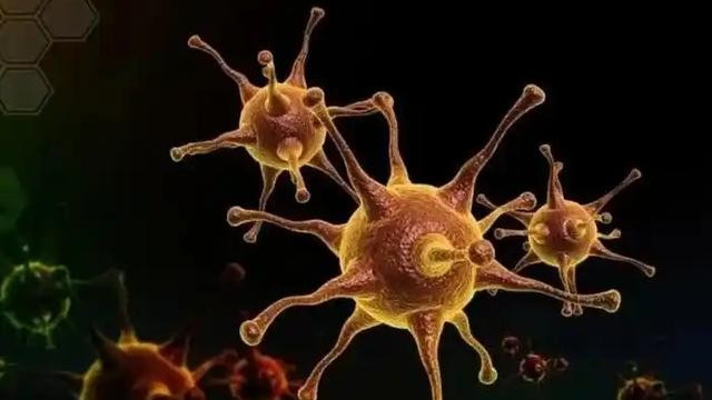 “毒王”来袭！有人持续高烧超40℃，专家：严重者可致呼吸衰竭