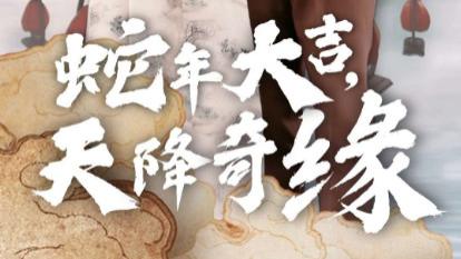 短剧：《蛇年大吉天降奇缘》在线观看完整版（全62集）赵振栋＆包金妮