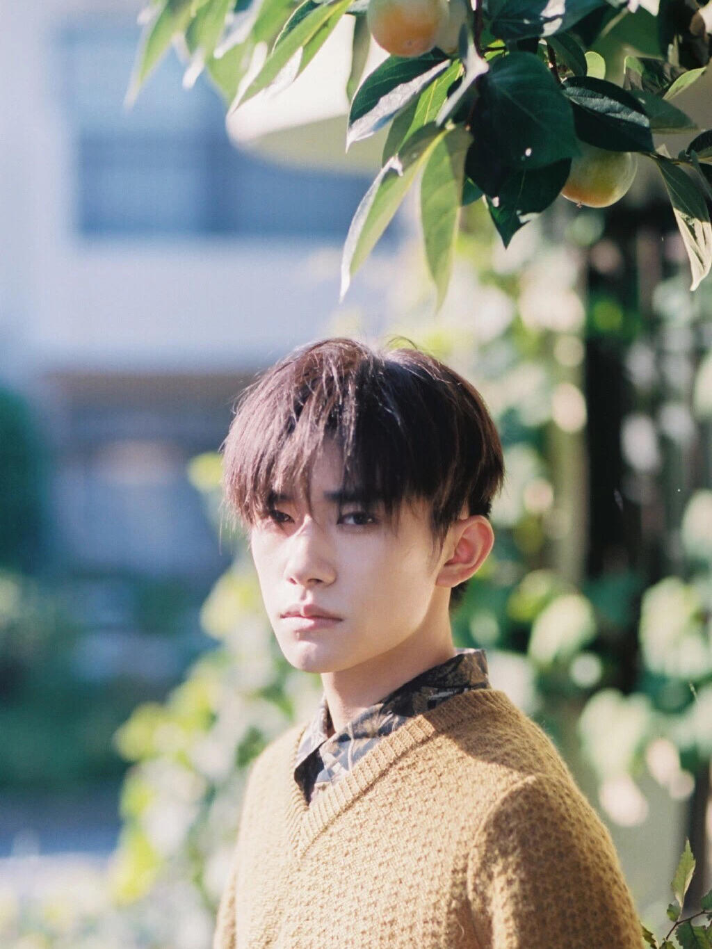 易烊千玺等着和你偶遇