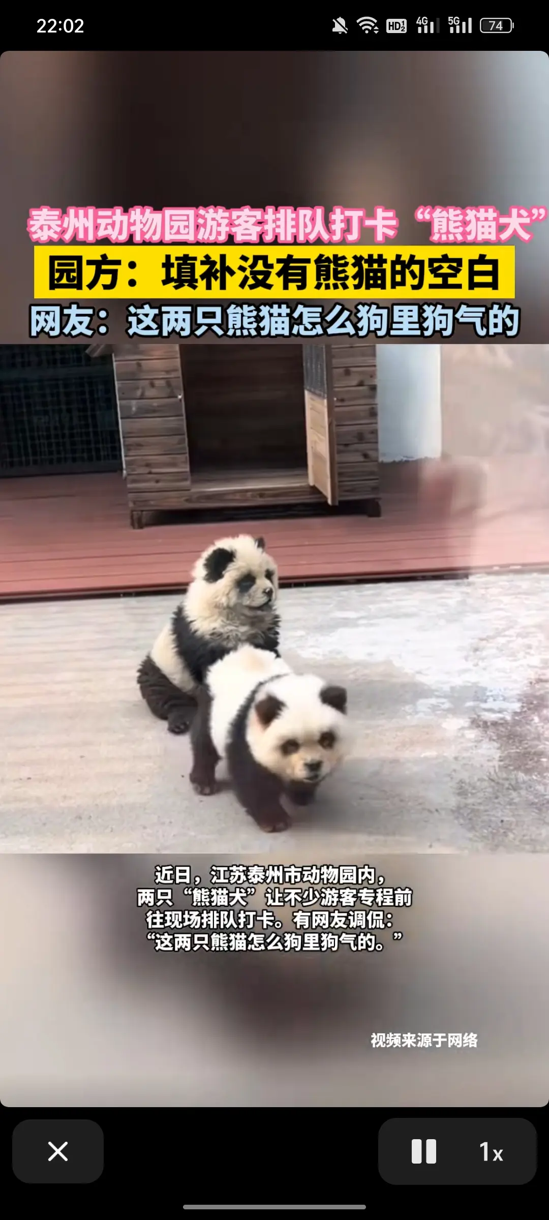 没有就是没有，动物园没有必要造假啊！
