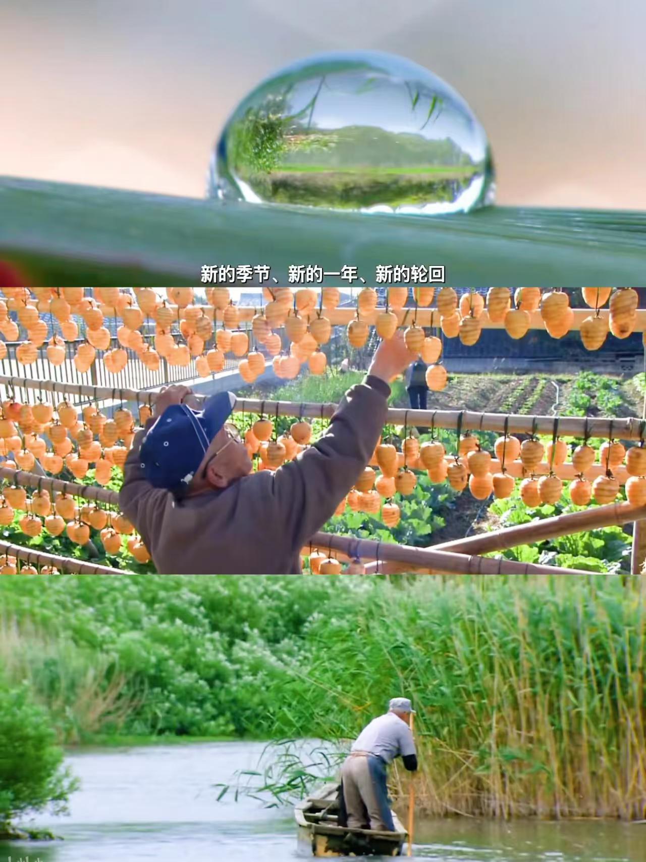 豆瓣9.0🔥比小森林还治愈的纪录片🍃
