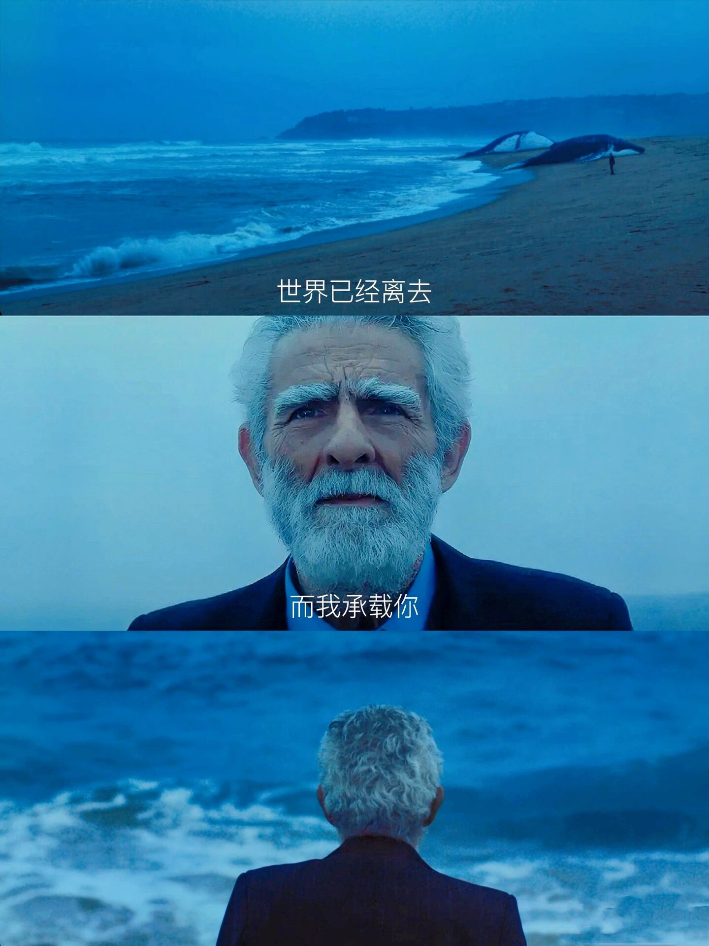 好剧推荐《遗忘诗行》