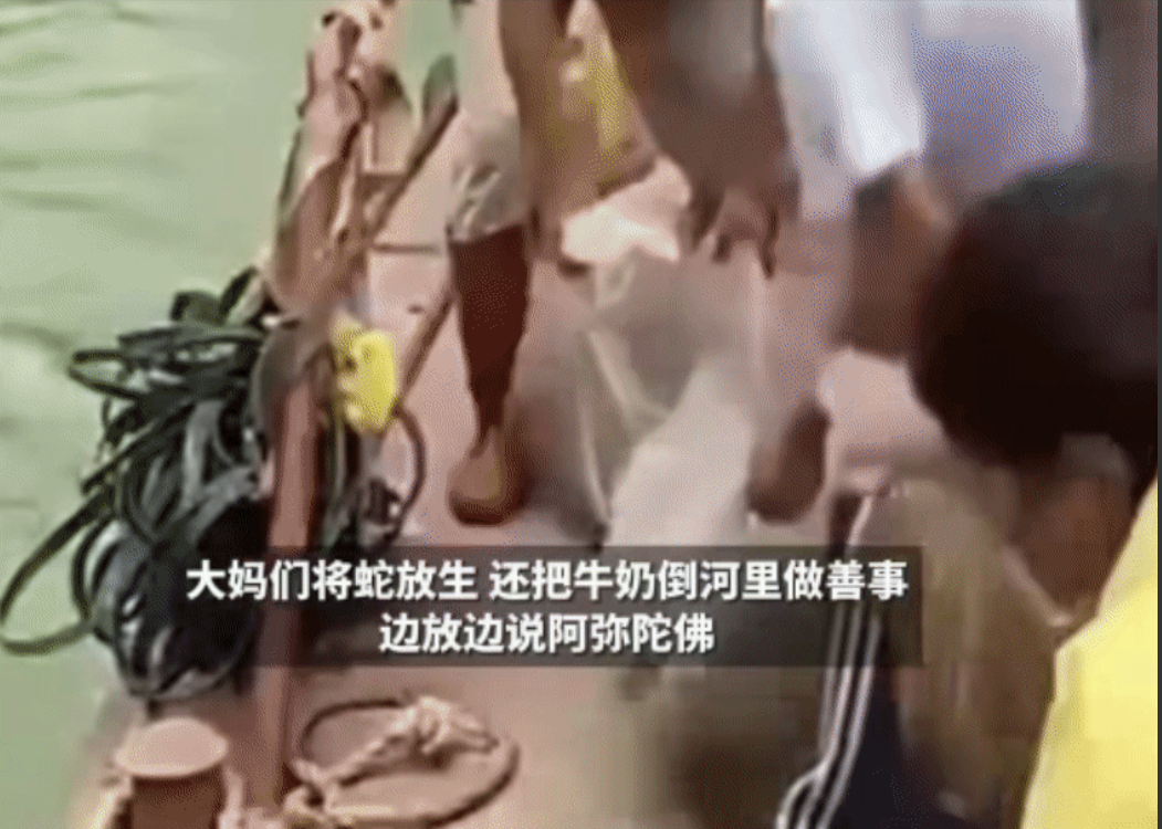 大妈们把蛇放生在河里，一遍放生一边念叨着“阿弥陀佛，阿弥陀佛”
搞不懂大妈们的脑