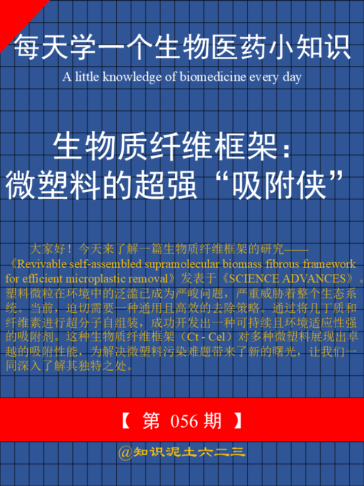 大家好！今天来了解一篇生物质纤维框架的研究——《Revivable self-a