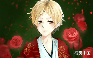 和男友分手后，我去动物园当饲养员，然后我和一只海豚相恋了