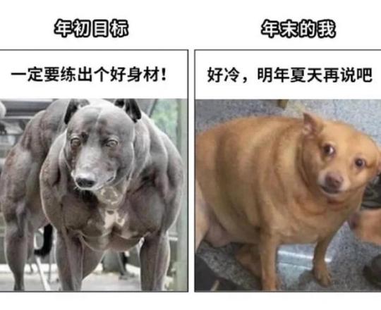 简直不要太真实