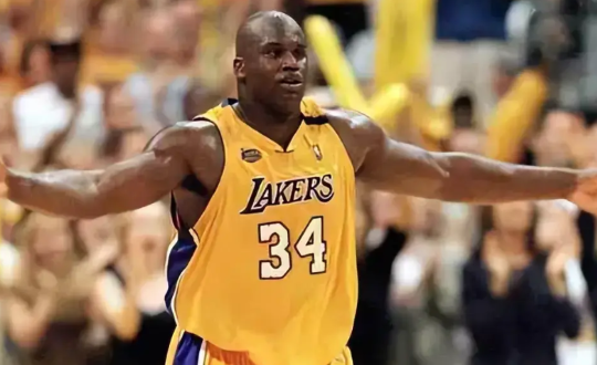 杨毅：奥尼尔才是NBA历史上第一中锋？

第一，奥尼尔全盛时期力量速度无敌，大胖