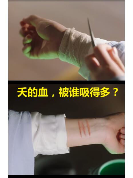 长相思2小细节，小夭的血给谁多？