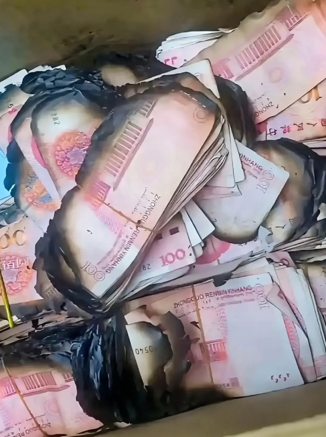 大过年的，老人的养老钱，不小心弄成这样了