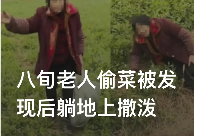 四川达州，一老人第二次到农田偷豌豆尖时，被农田主人当场抓住。可不曾想，老人不仅没