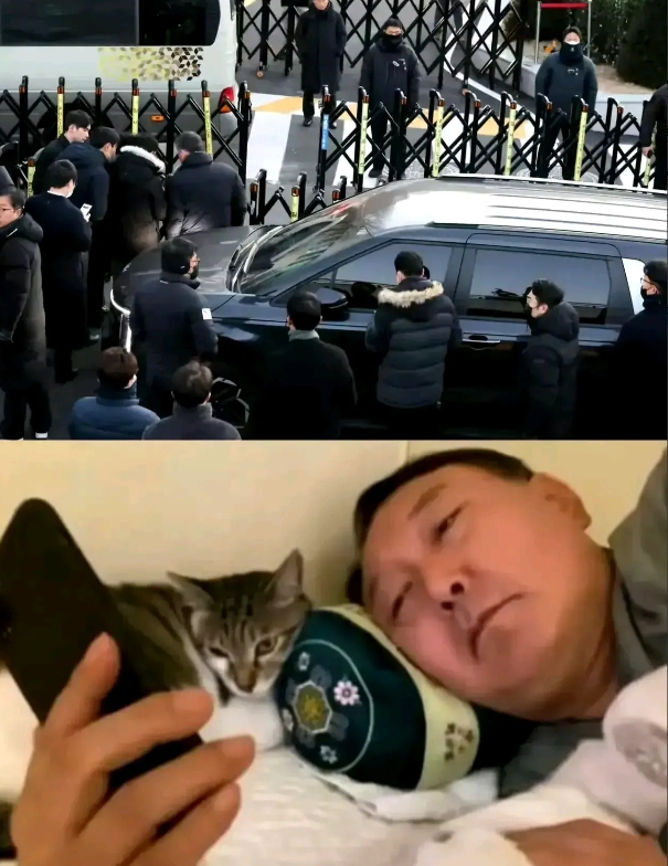 伊锡悦逮捕直播现场，竟然出现美国国旗，真是以为眼睛花了