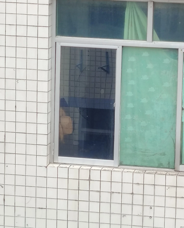 “穿那么少，窗帘也不拉，这年轻人也太开放了，没有一点羞耻感”隔壁阿姨一大早就在窗