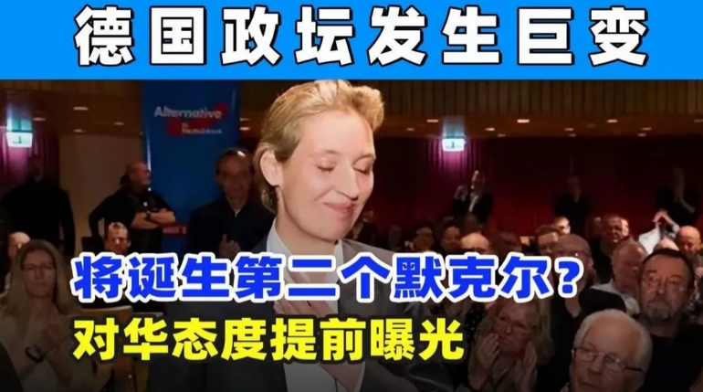 德国大选投票率居然高达76.6%！说明大家都挺关心政治。最后，联盟党还是拿到最多