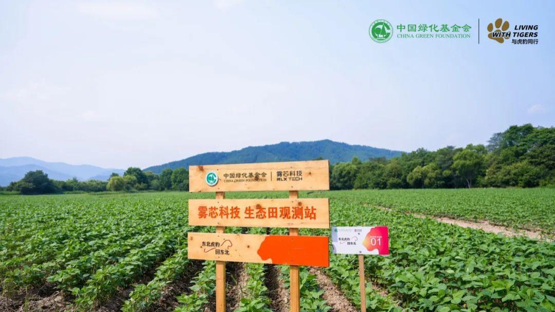 携手悦刻，共筑东北虎豹生态家园