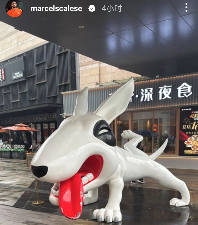 泰山队的外援很松弛