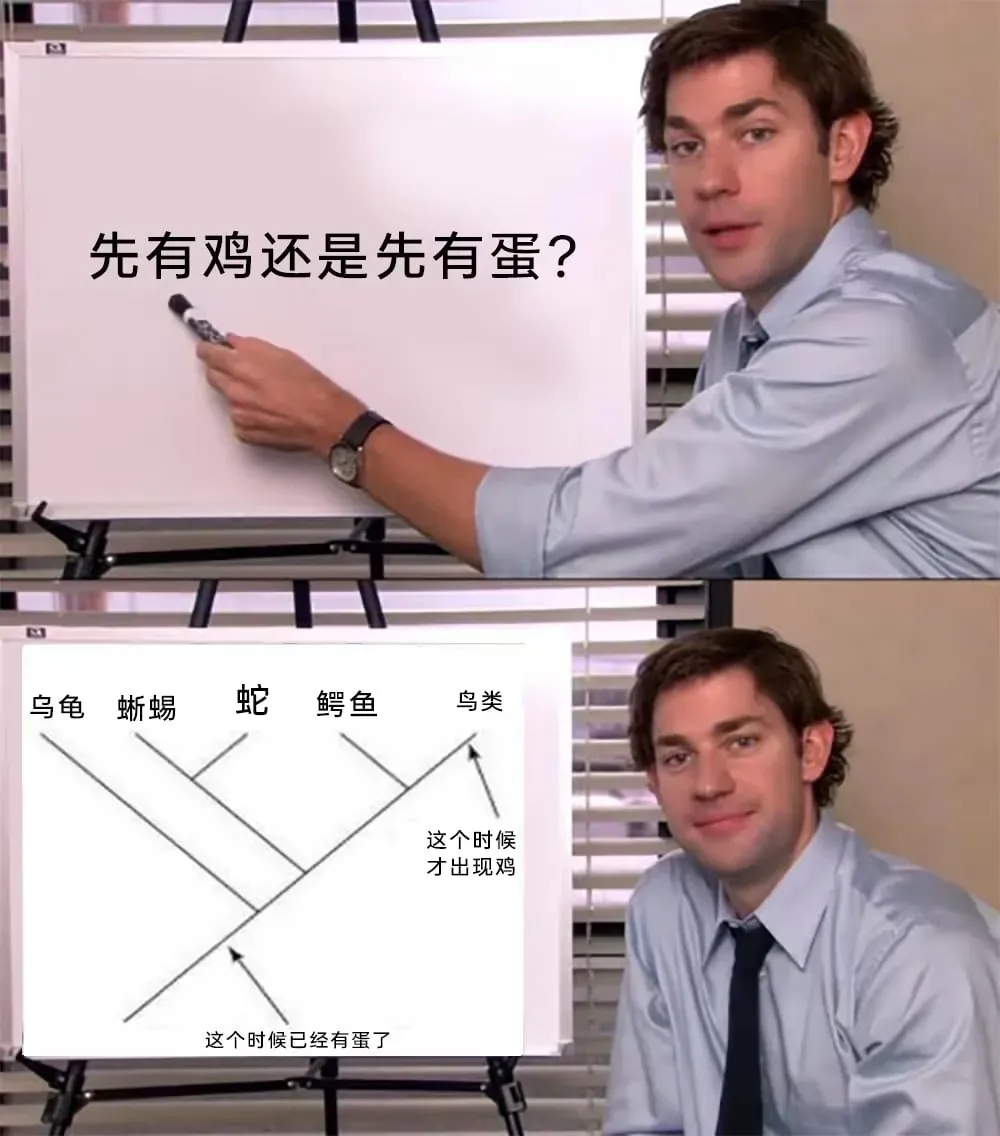 先有鸡还是先有鸡蛋，看完已经有答案了