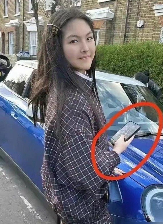 不懂就问，王诗龄这是什么手机，怎么也有pdd ​​​