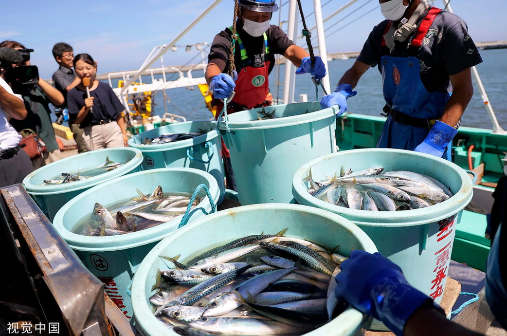 日本海鲜产品要恢复进口了，国家自有国家的理由，我们不多加猜测。问题是这些海鲜以前