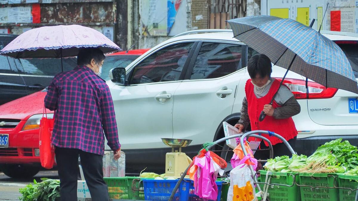 广东梅雨季节几月开始几月结束？家庭如何应对潮湿天气的考验