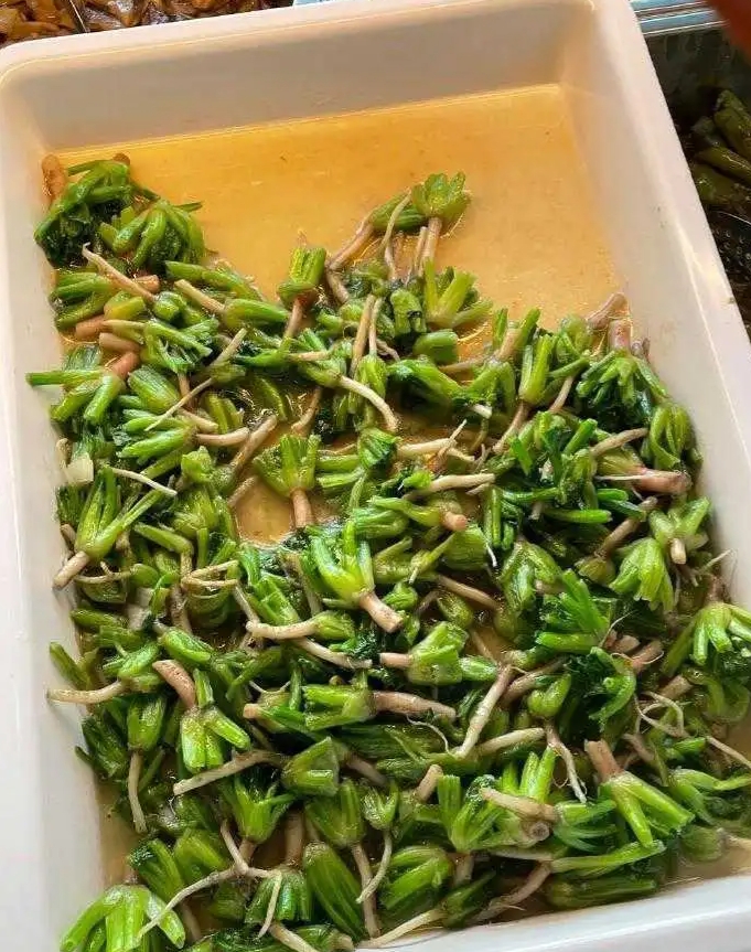 现在钱这么好赚吗，菠菜根也能拿来卖钱了？