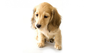 我身患绝症，只有重走人生才能起死回生，完成任务的那一刻，我才知道它有多么的不容易。