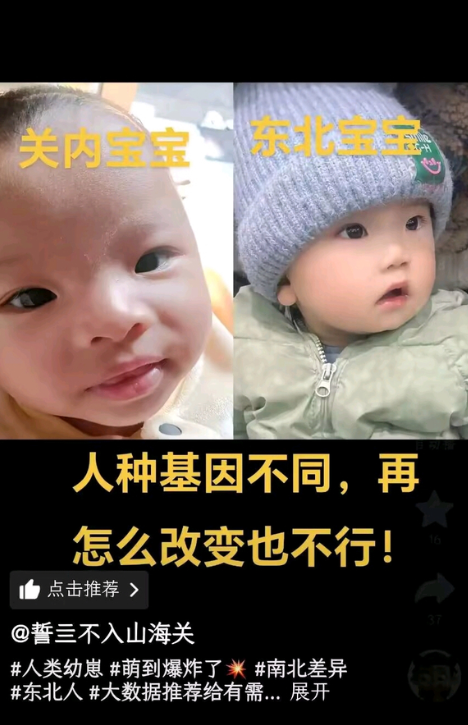 原来硐柏幼崽这么萌吗，这是真的吗
