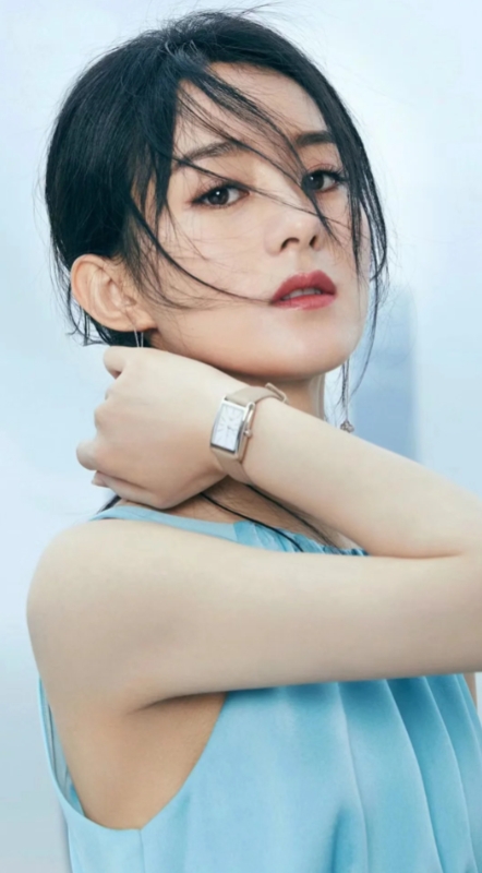 赵丽颖的职业生涯堪称一部励志传奇