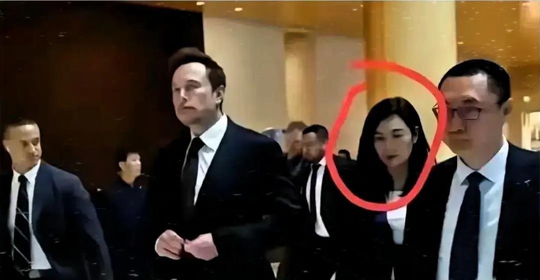快来看！马斯克背后的神秘女人陶琳，简直就是“大女主”本主！
名校光环加身，本科和
