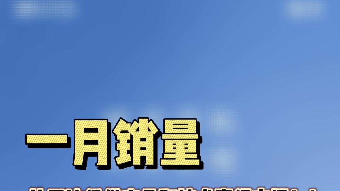 一月销量依然王者，比亚迪凭借产品和技术赢得市场！