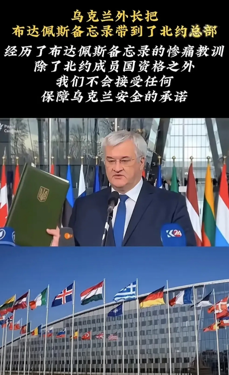 乌克兰表示，自己如今的遭遇是一个惨痛的教训，希望其他国家能引以为戒，不要再重蹈覆