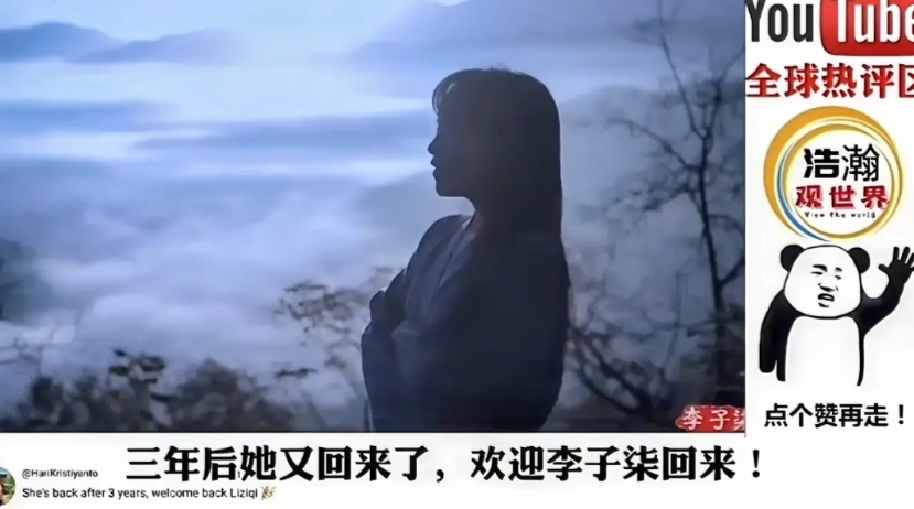 李子柒的成功，至少有40%的功劳要给摄影团队。

看看这个画面，既拍出来云海的翻