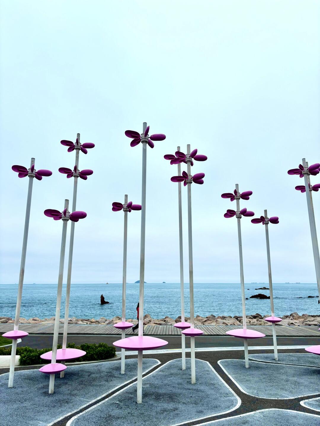悠闲看海喝咖啡