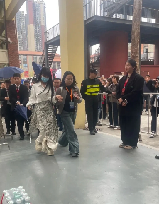 李子柒复出后到四川成都出席活动，那人多的，跟蚂蚁搬家似的，挤都挤不动，到处都是人