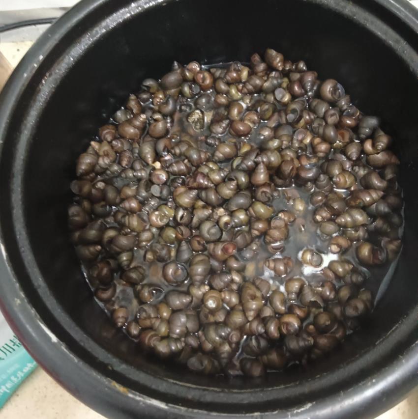 失联飞行员孙某要赔钱了？在航空公司上班确实需要签订劳动合同。飞行员合同是飞行员与